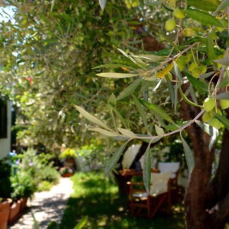 Regina Villa Kalo Chorio  Dış mekan fotoğraf