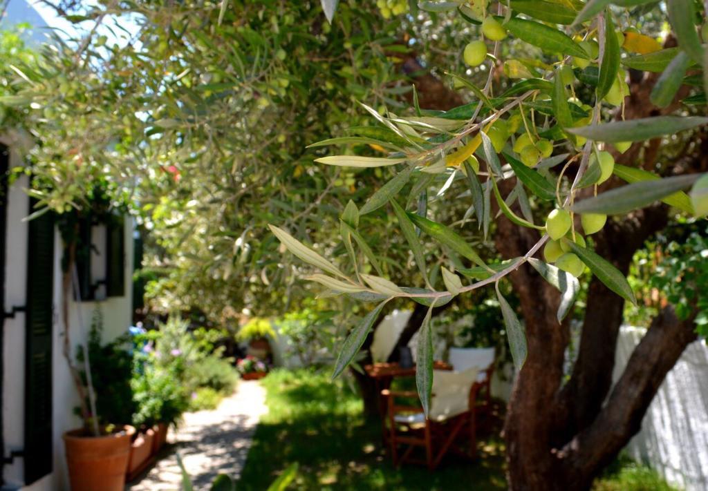 Regina Villa Kalo Chorio  Dış mekan fotoğraf